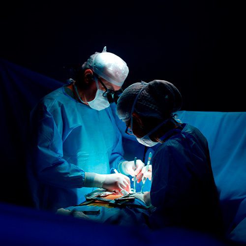 Equipe médica realiza cirurgia em sala operatória, iluminada por foco cirúrgico, com profissionais paramentados durante o procedimento.